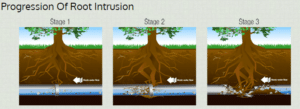 Root-intrusion